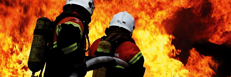 Visual content for the webpage