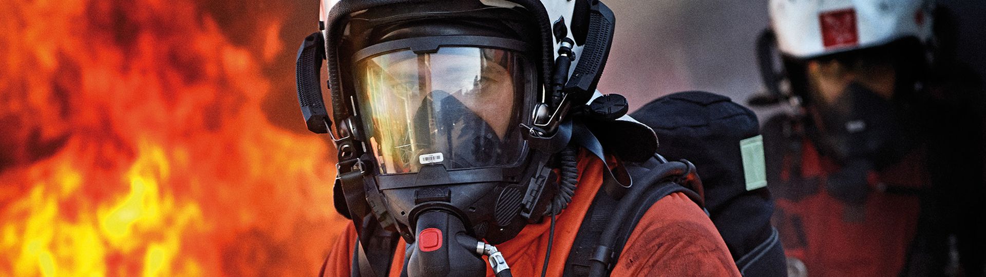 Visual content for the webpage