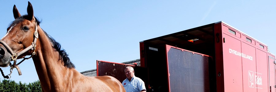 Visual content for the webpage