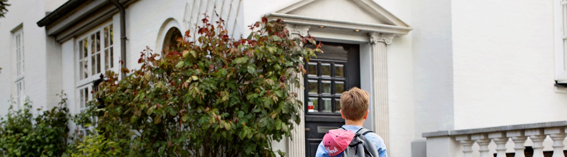 Visual content for the webpage