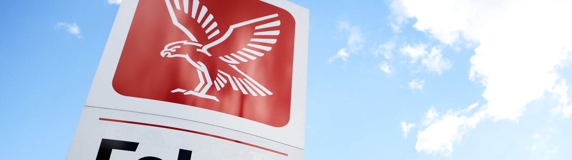 Visual content for the webpage