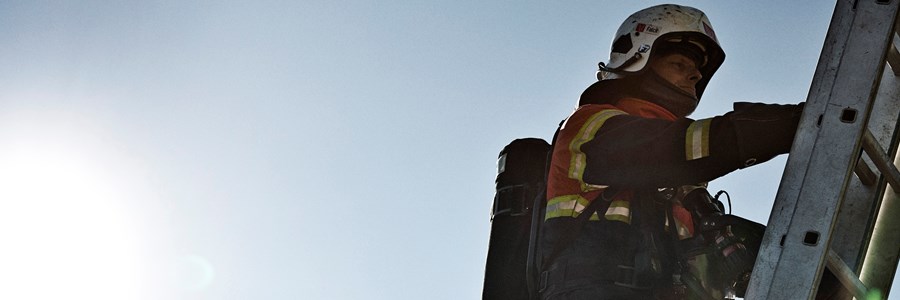 Visual content for the webpage