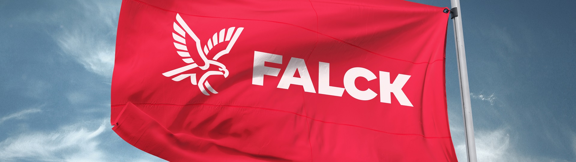 Visual content for the webpage