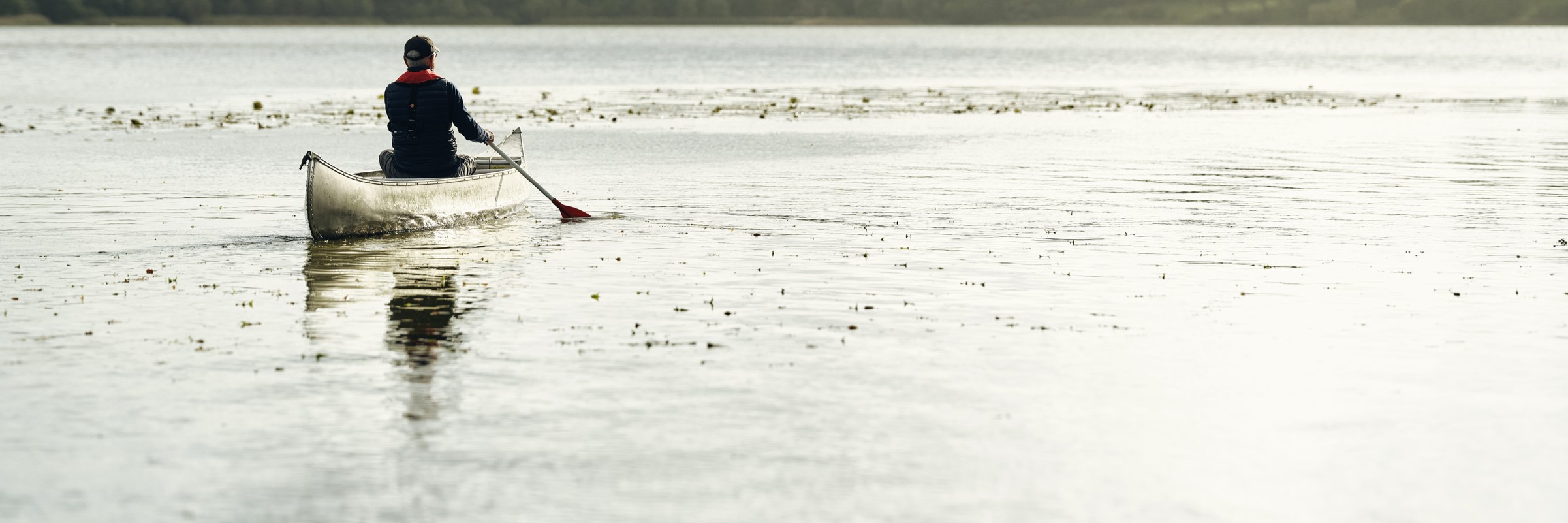 Visual content for the webpage