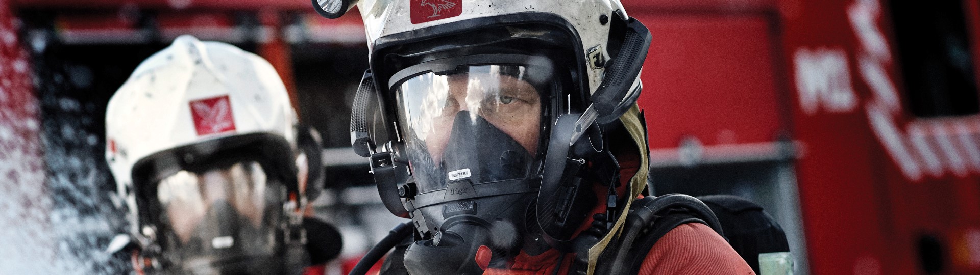 Visual content for the webpage