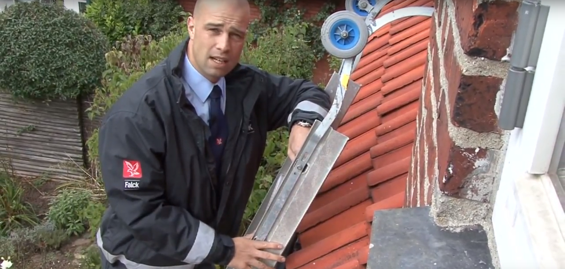 Visual content for the webpage