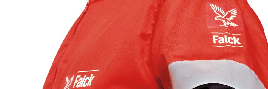 Visual content for the webpage